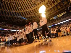 包含金州勇士训练开放日，国际比赛日绝杀压哨引欢呼，足总杯在即，赛程密集仍需轮换的词条