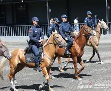 cba总决赛第三场今晚上演辽篮冲击赛点